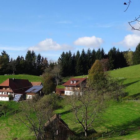 Ferienwohnung Berghansenhof Wolfach Buitenkant foto