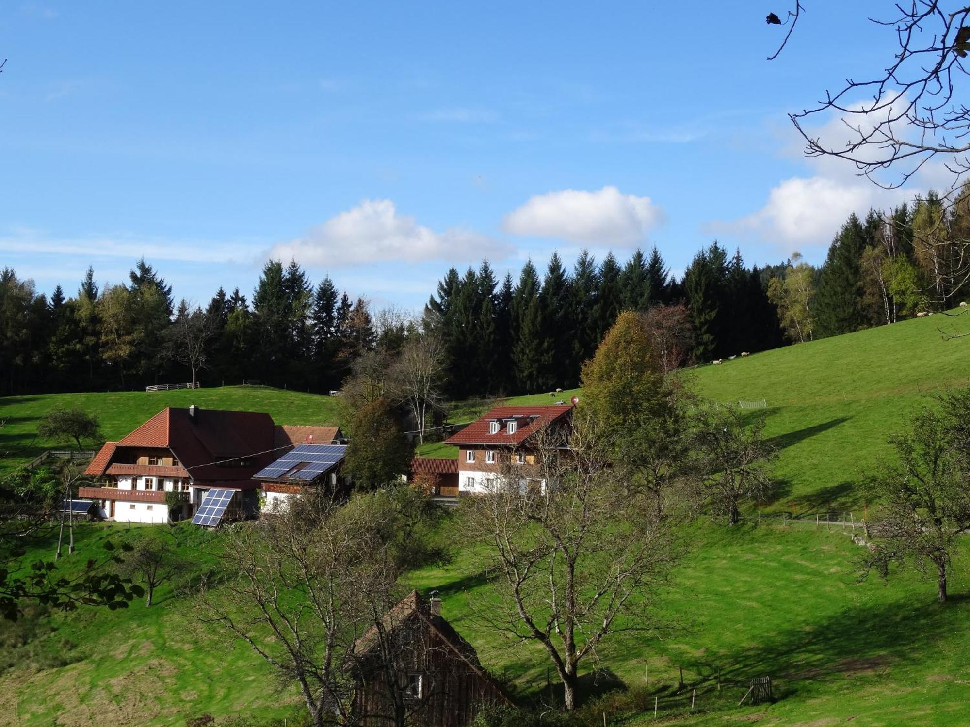 Ferienwohnung Berghansenhof Wolfach Buitenkant foto